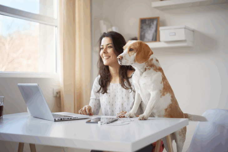 A woman seated at a desk in front of a laptop. A dog is perched in the desk beside her.